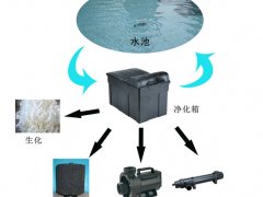 景觀(guān)水處理